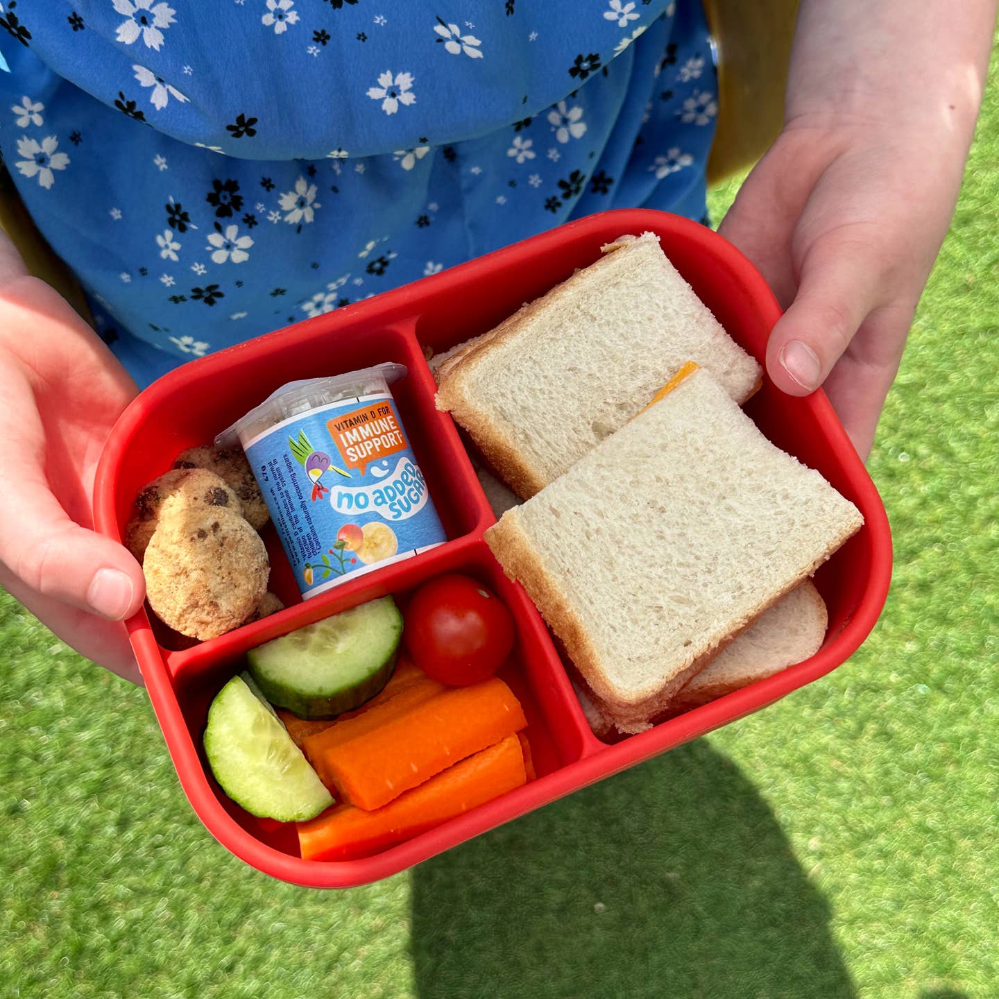 Pick box bento